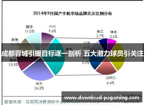 成都蓉城引援目标逐一剖析 五大潜力球员引关注
