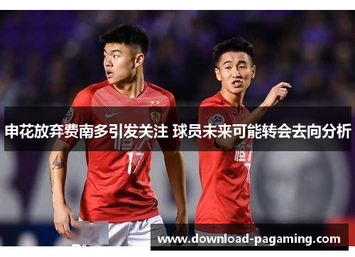 申花放弃费南多引发关注 球员未来可能转会去向分析
