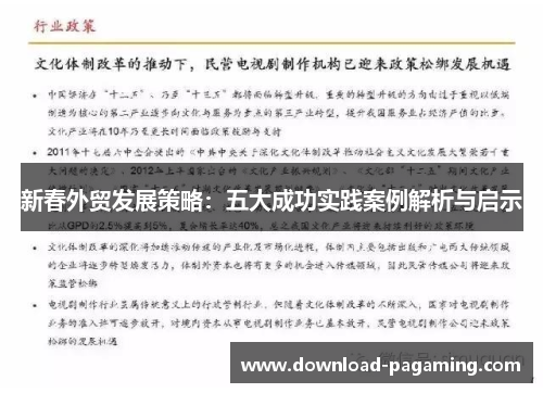 新春外贸发展策略：五大成功实践案例解析与启示