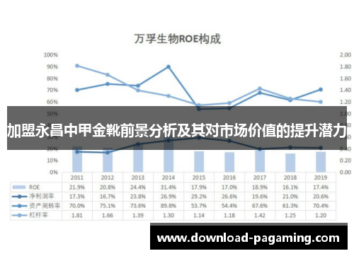 加盟永昌中甲金靴前景分析及其对市场价值的提升潜力