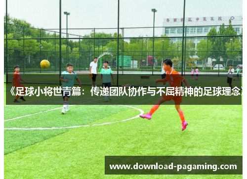 《足球小将世青篇：传递团队协作与不屈精神的足球理念》