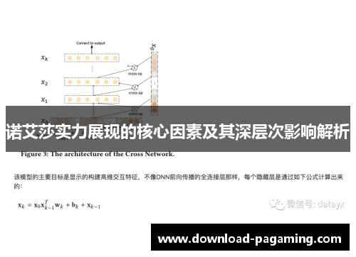 诺艾莎实力展现的核心因素及其深层次影响解析