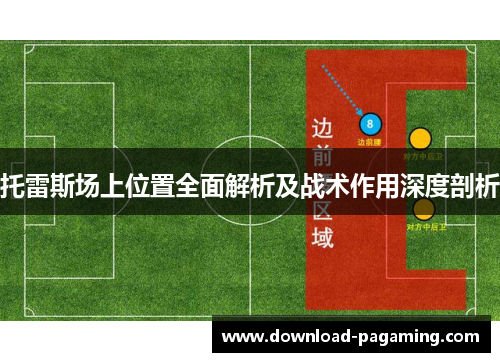托雷斯场上位置全面解析及战术作用深度剖析