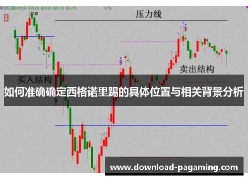 如何准确确定西格诺里踢的具体位置与相关背景分析