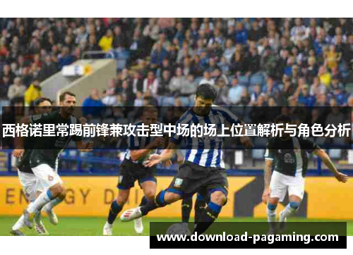 西格诺里常踢前锋兼攻击型中场的场上位置解析与角色分析