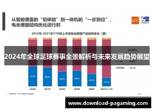 2024年全球足球赛事全景解析与未来发展趋势展望