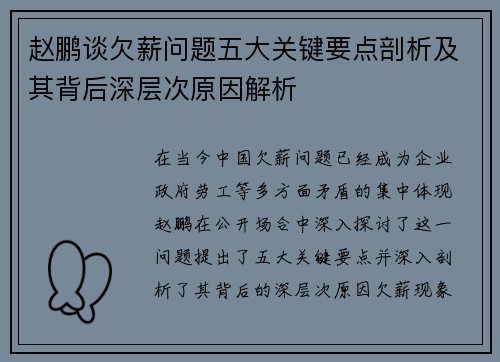赵鹏谈欠薪问题五大关键要点剖析及其背后深层次原因解析