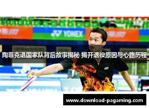 陶菲克退国家队背后故事揭秘 揭开退役原因与心路历程 陶菲克退国家队背后故事揭秘 揭开退役原因与心路历程