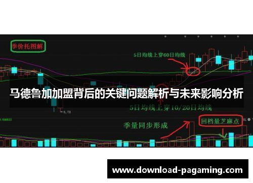 马德鲁加加盟背后的关键问题解析与未来影响分析