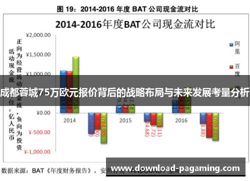 成都蓉城75万欧元报价背后的战略布局与未来发展考量分析