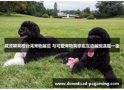 戴资颖亮相台湾宠物展览 与可爱宠物狗亲密互动展现温暖一面