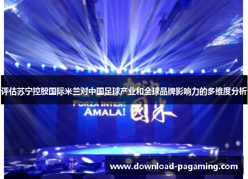 评估苏宁控股国际米兰对中国足球产业和全球品牌影响力的多维度分析