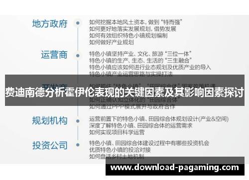 费迪南德分析霍伊伦表现的关键因素及其影响因素探讨
